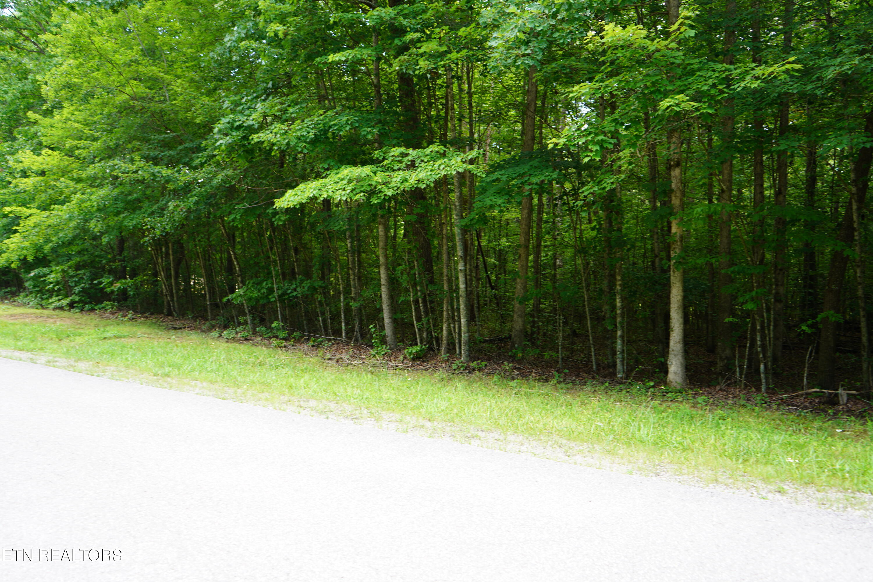 W Laurel Way Monterey TN 38574