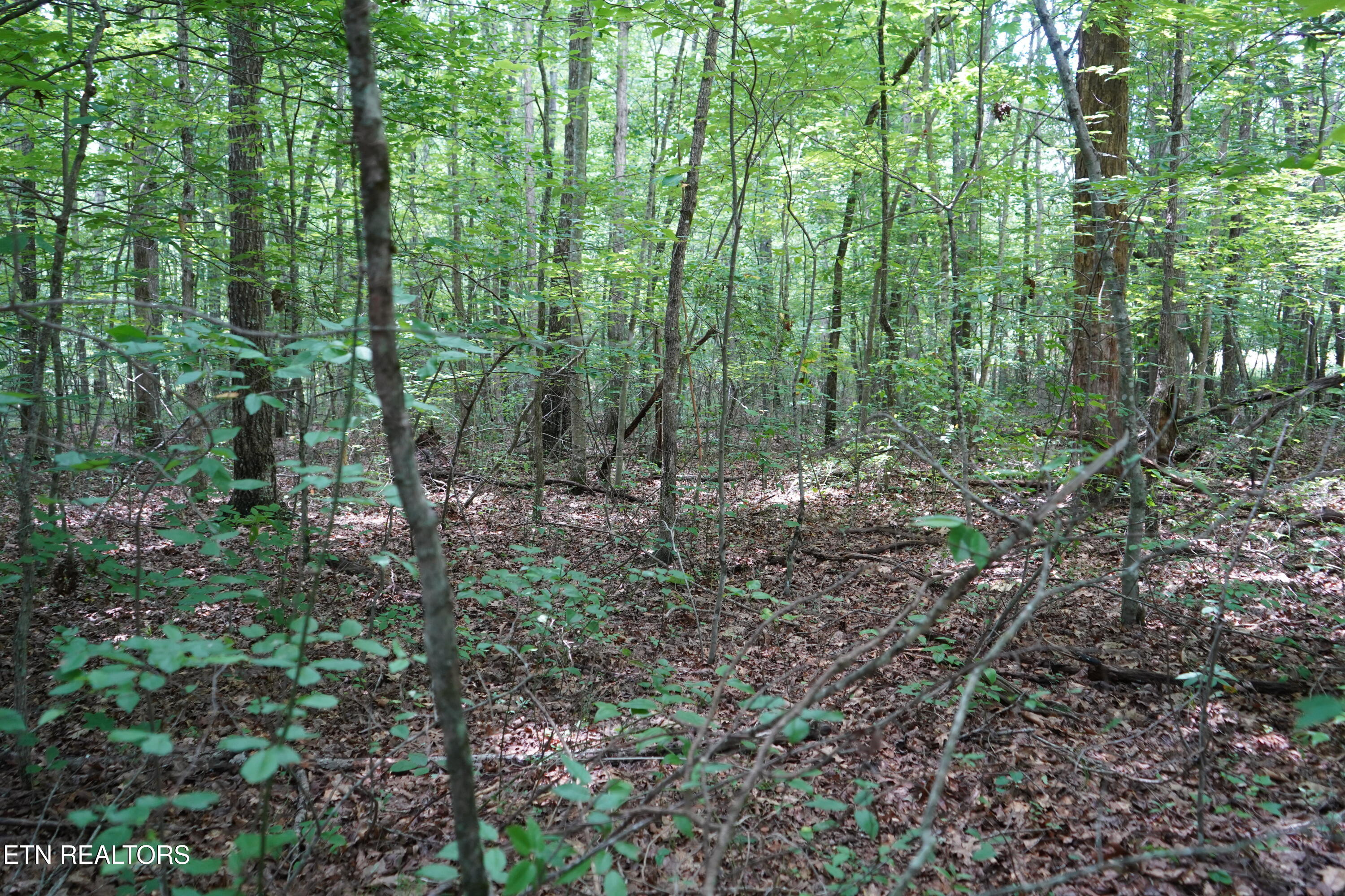 W Laurel Way Monterey TN 38574