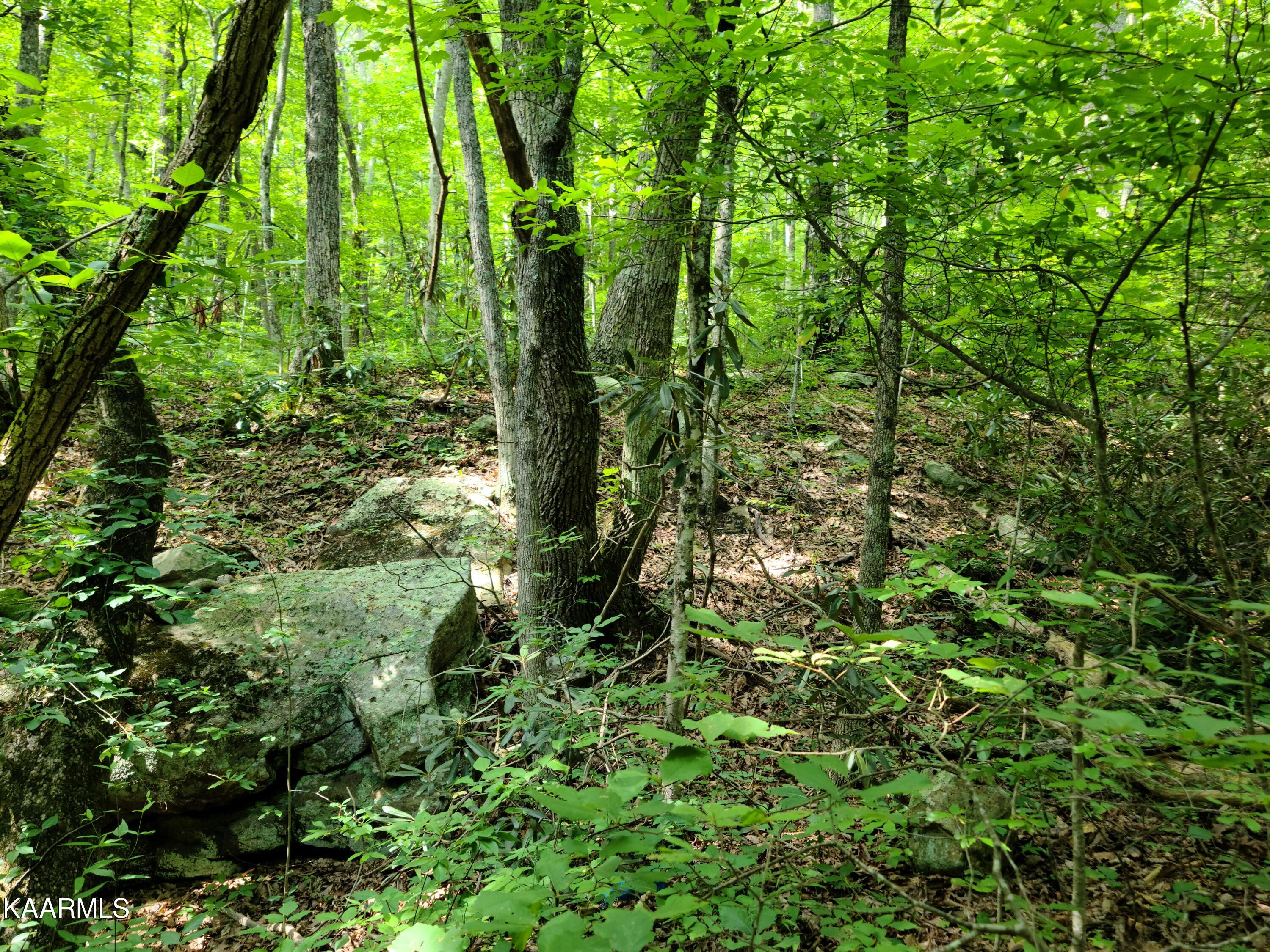 Lot 67 John Sevier Drive Sevierville TN 37876