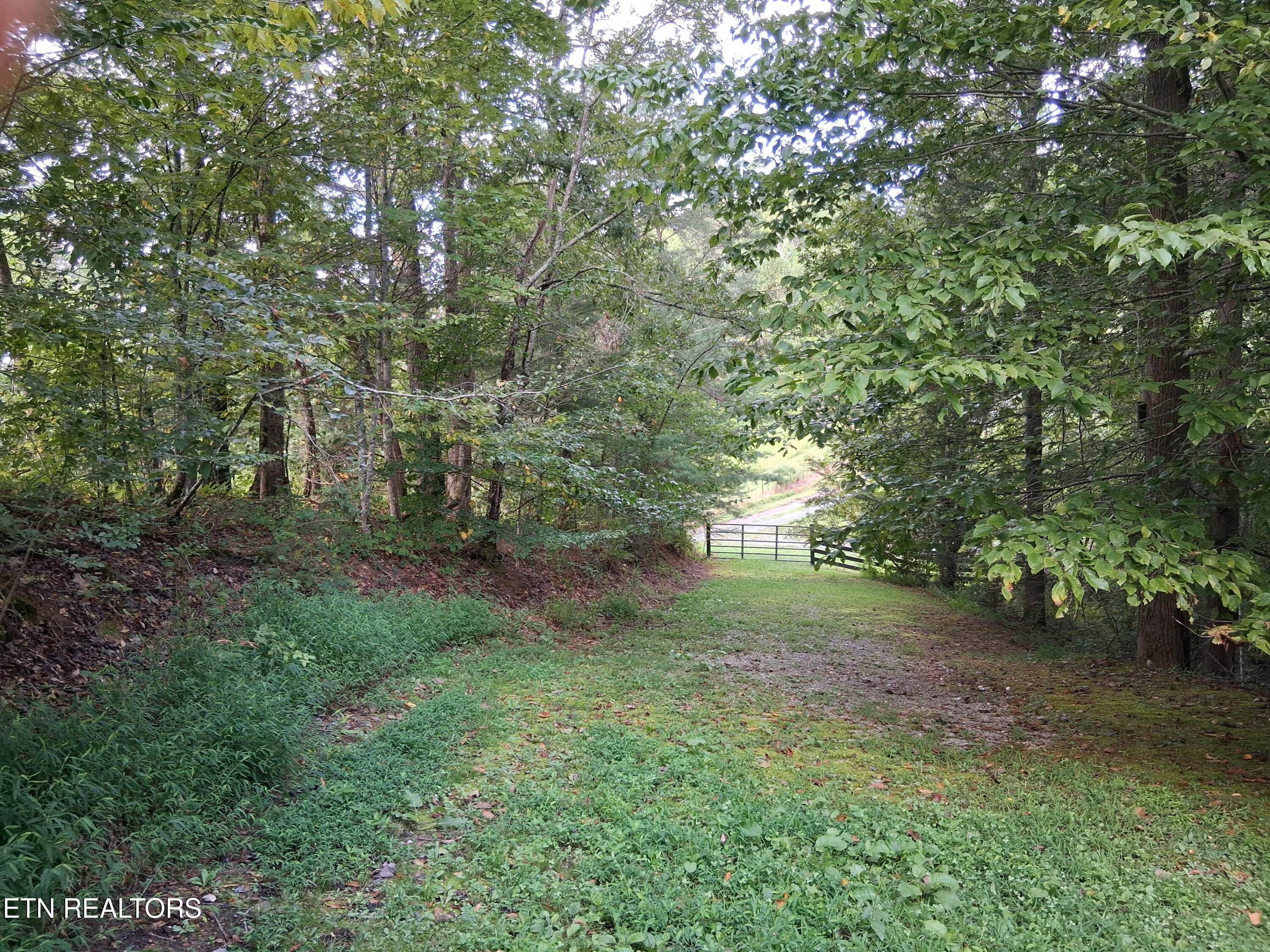 Fugate Road Del Rio TN 37727