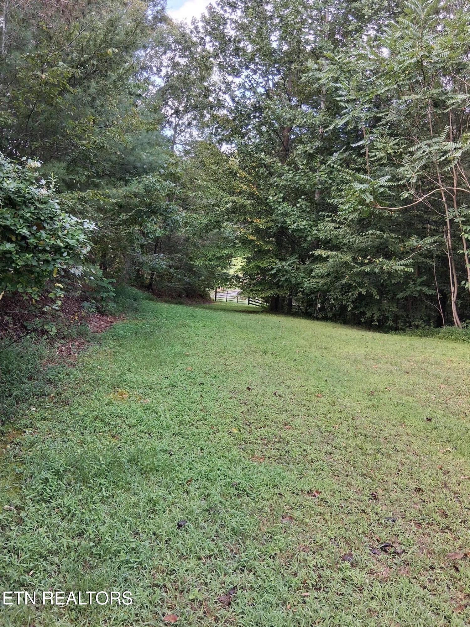 Fugate Road Del Rio TN 37727
