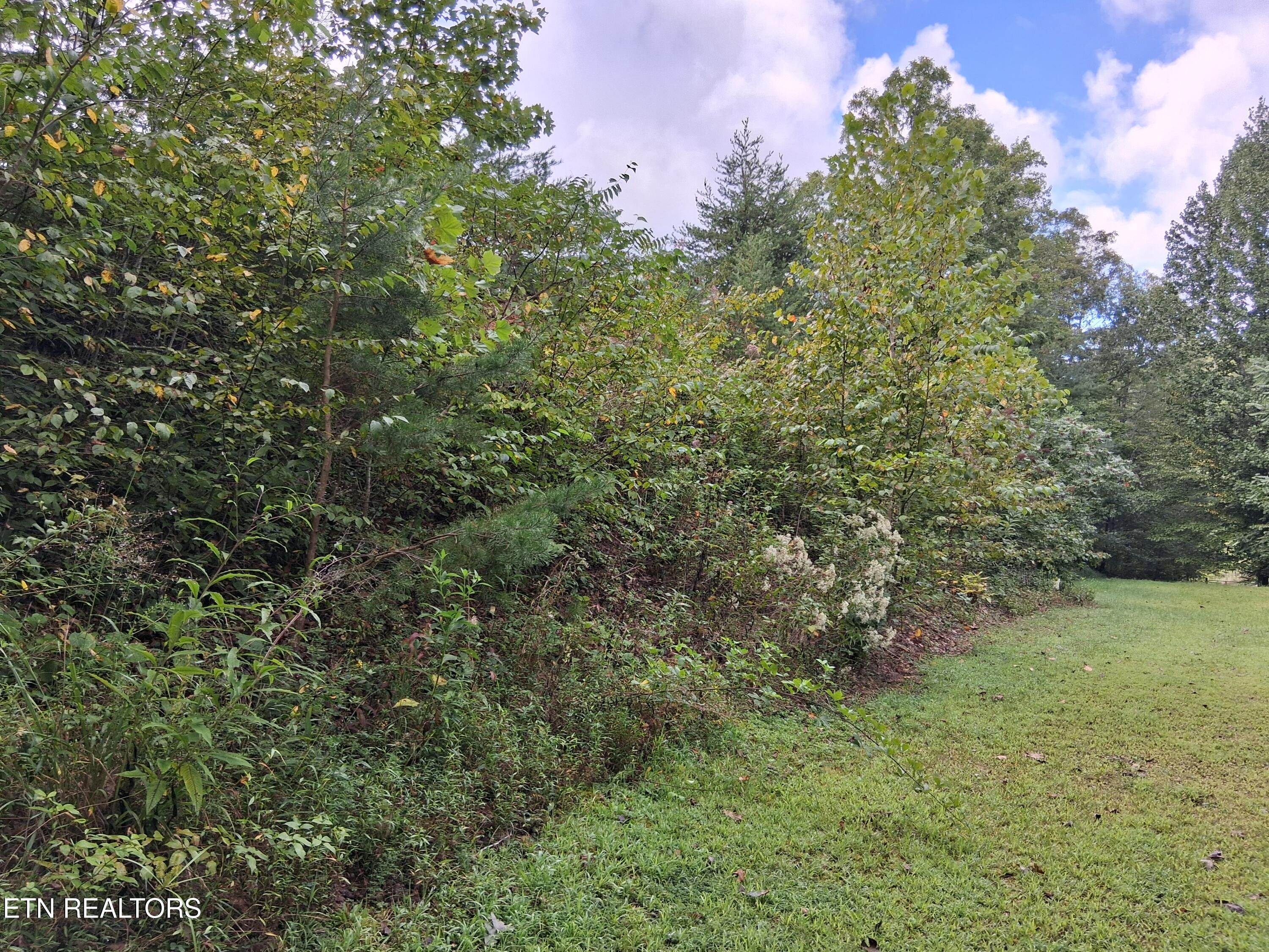 Fugate Road Del Rio TN 37727