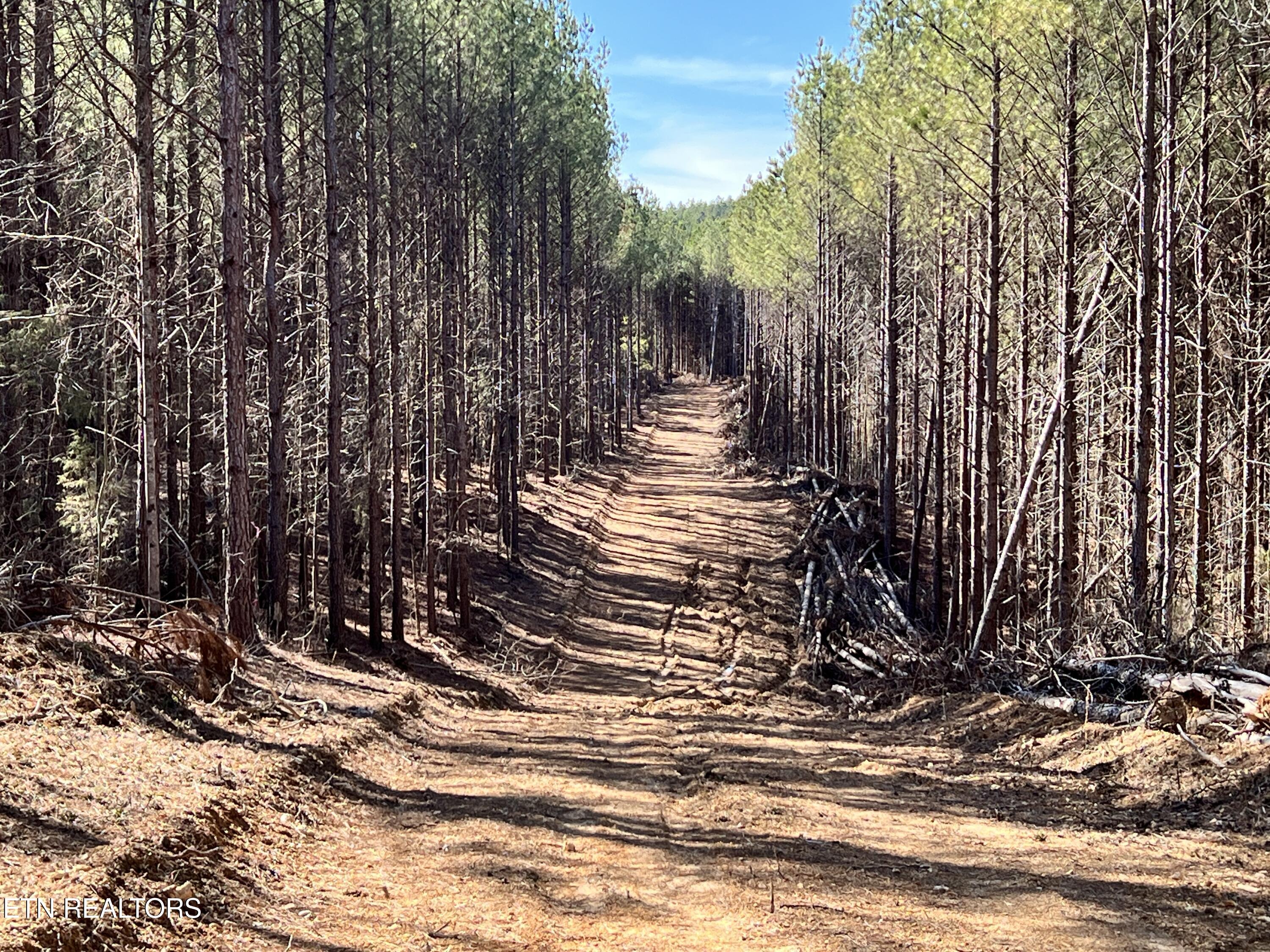 Lot 18 Sam Davis Road Decatur TN 37322