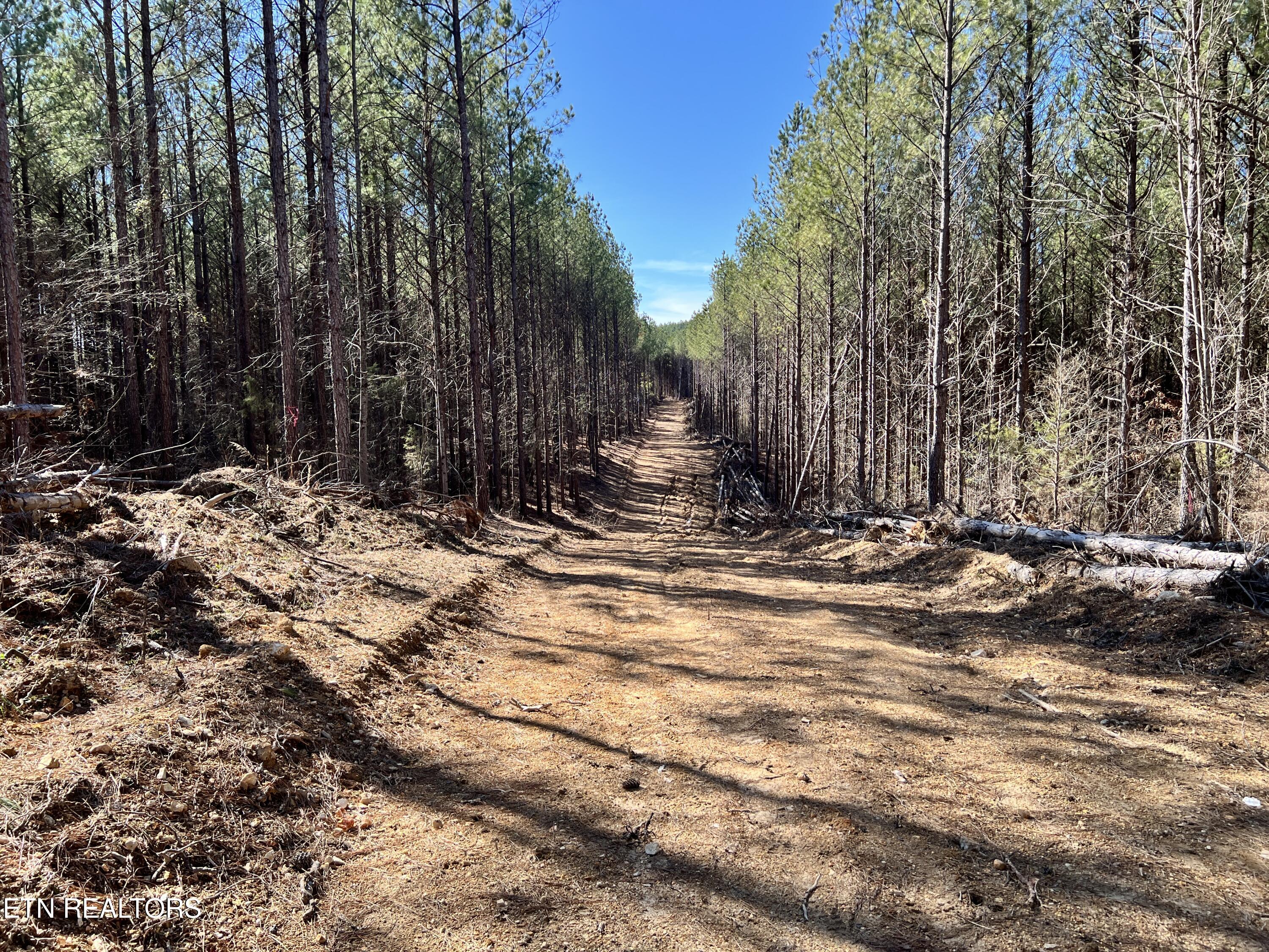 Lot 18 Sam Davis Road Decatur TN 37322