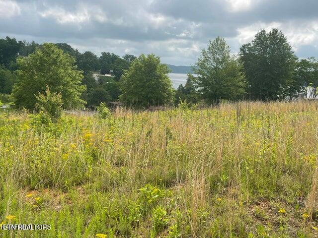 Serenity Drive Harriman TN 37748