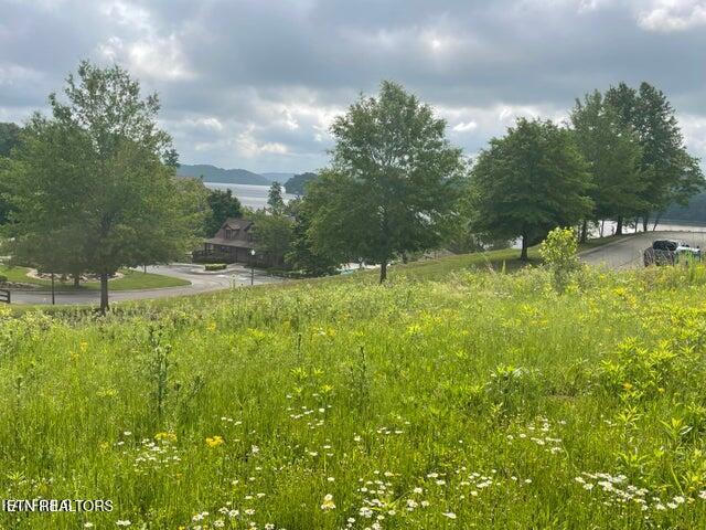 Serenity Drive Harriman TN 37748