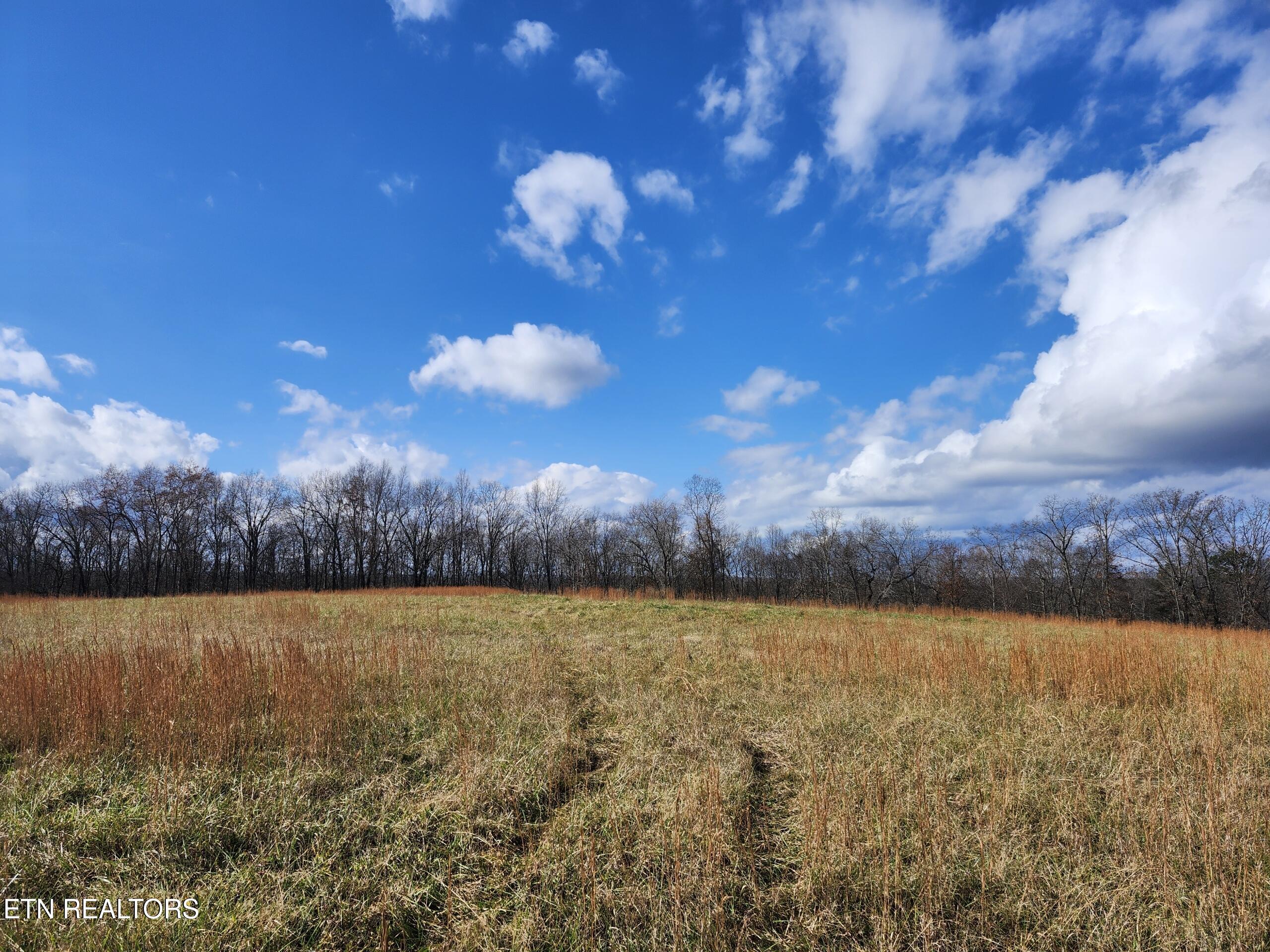 379 Christenson Road Deer Lodge TN 37726
