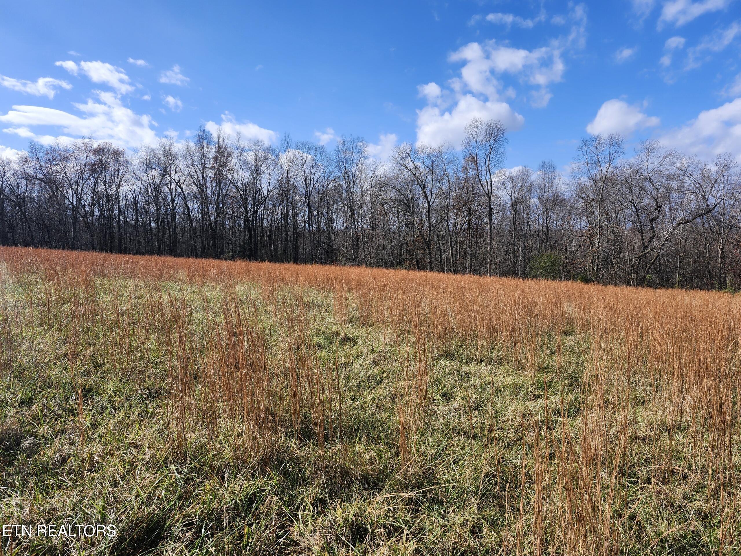 379 Christenson Road Deer Lodge TN 37726