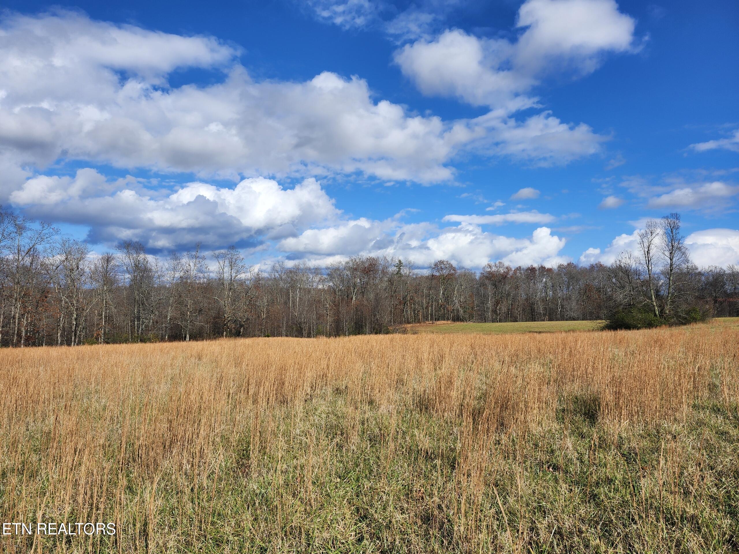 379 Christenson Road Deer Lodge TN 37726