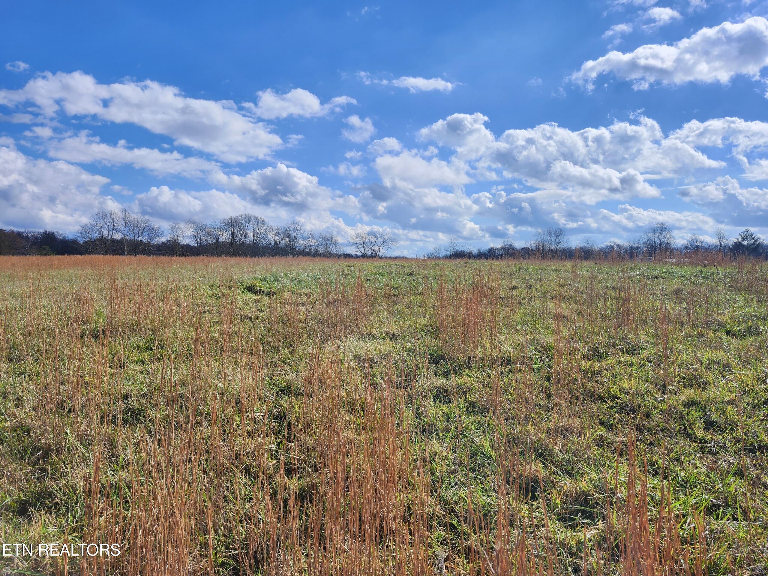 379 Christenson Road Deer Lodge TN 37726