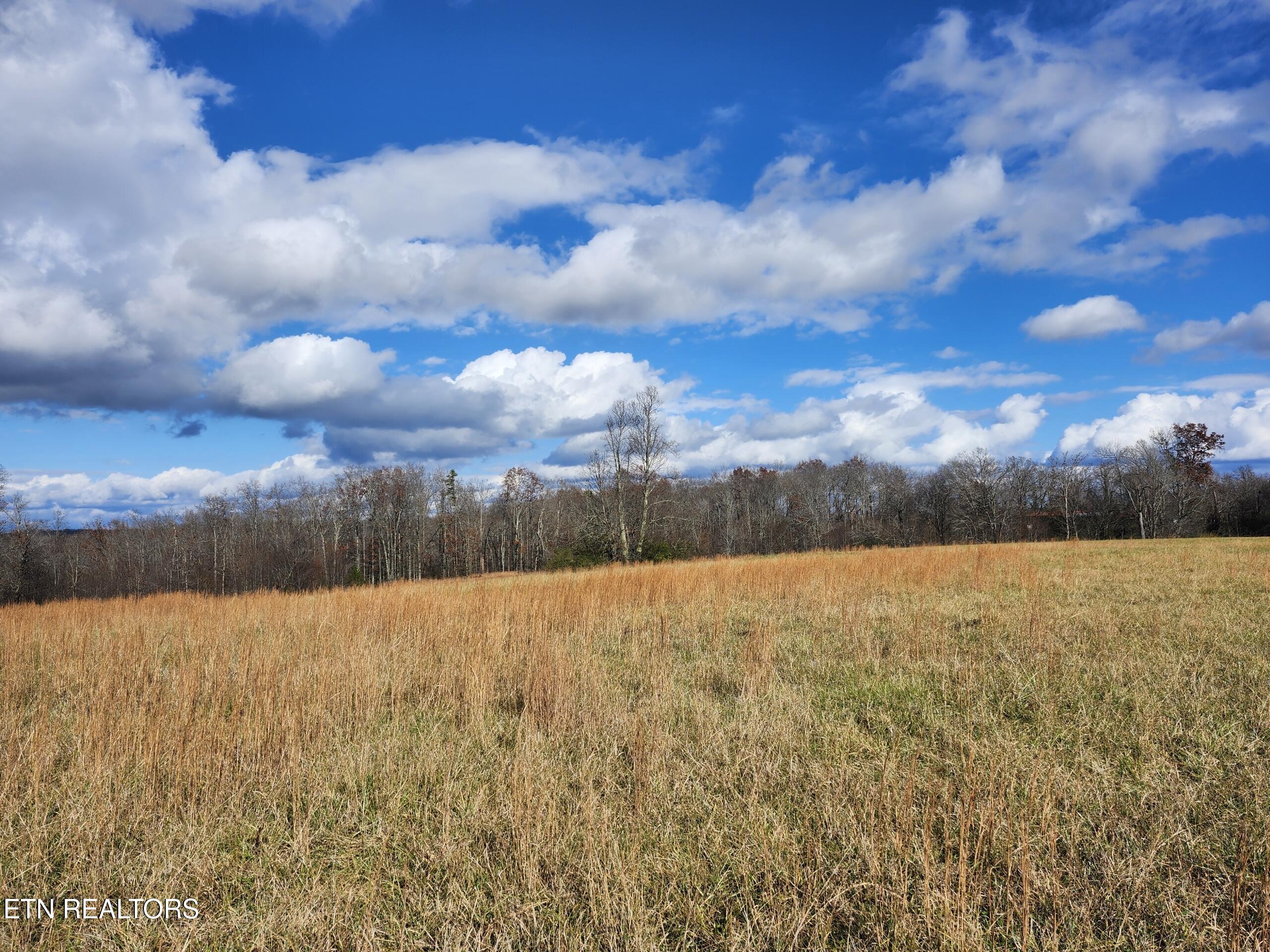 379 Christenson Road Deer Lodge TN 37726