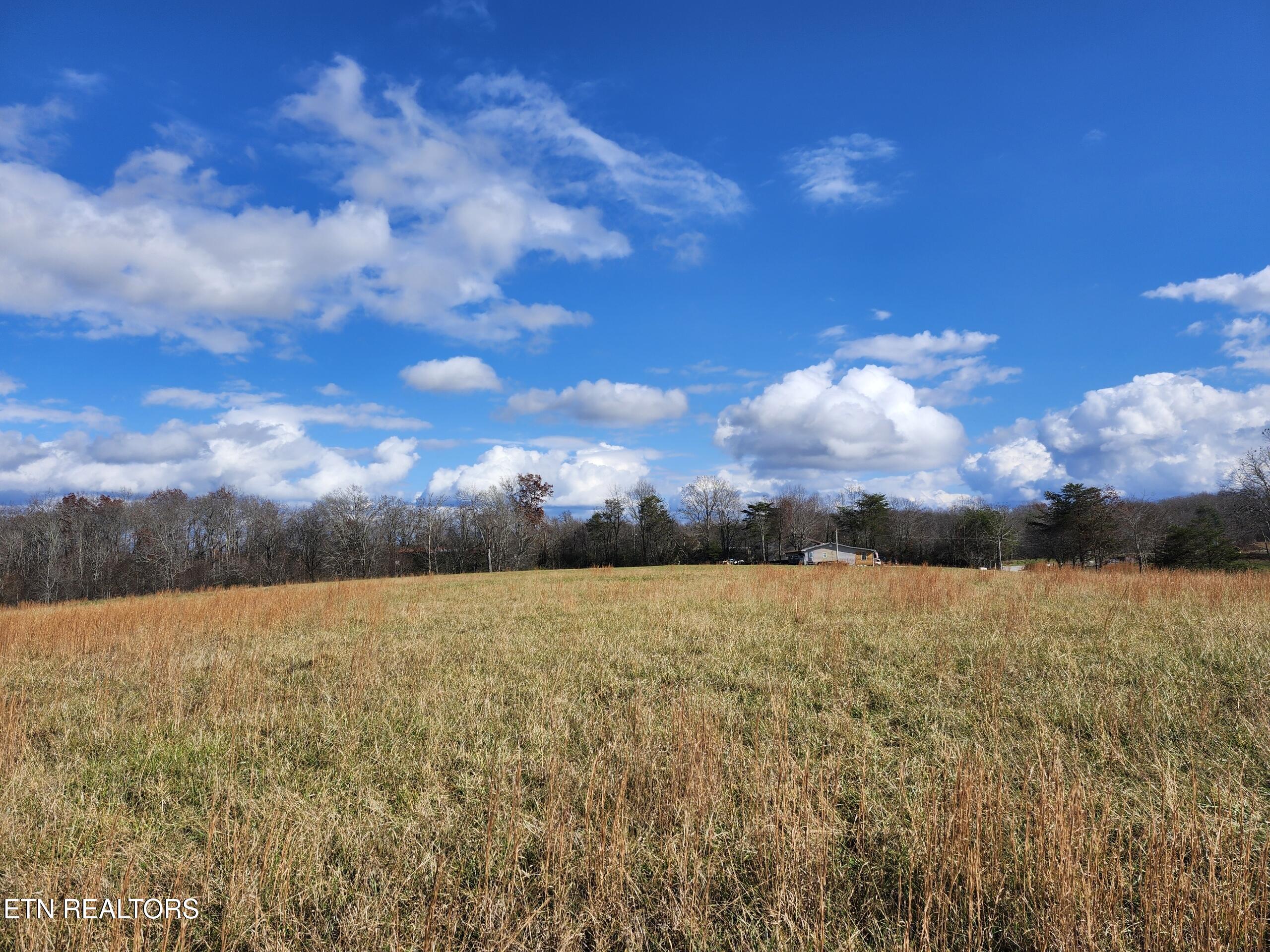 379 Christenson Road Deer Lodge TN 37726