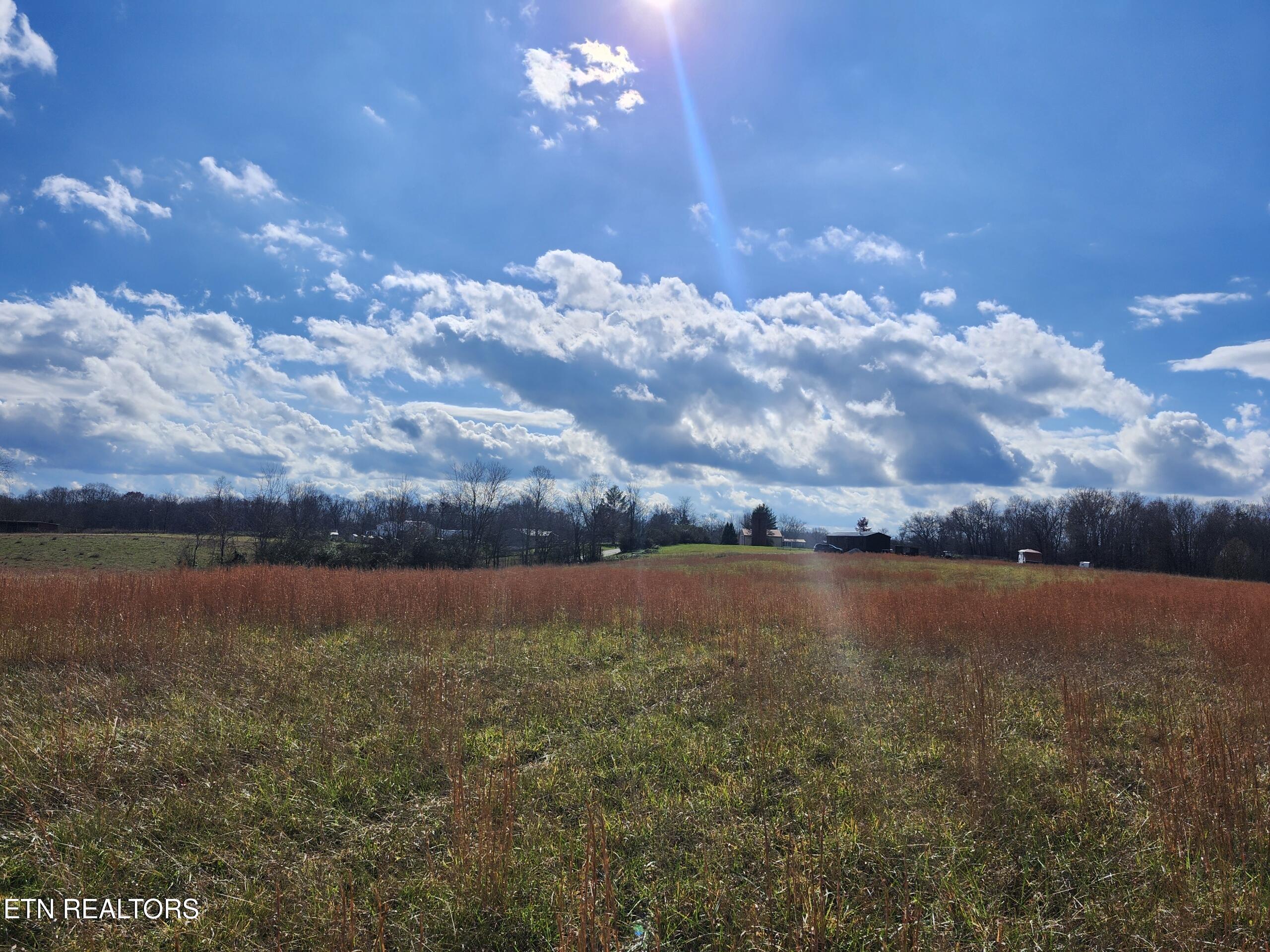 379 Christenson Road Deer Lodge TN 37726
