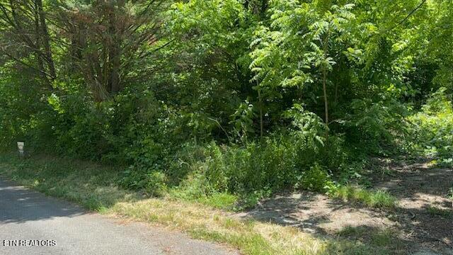 1639 Noe Circle New Market TN 37820