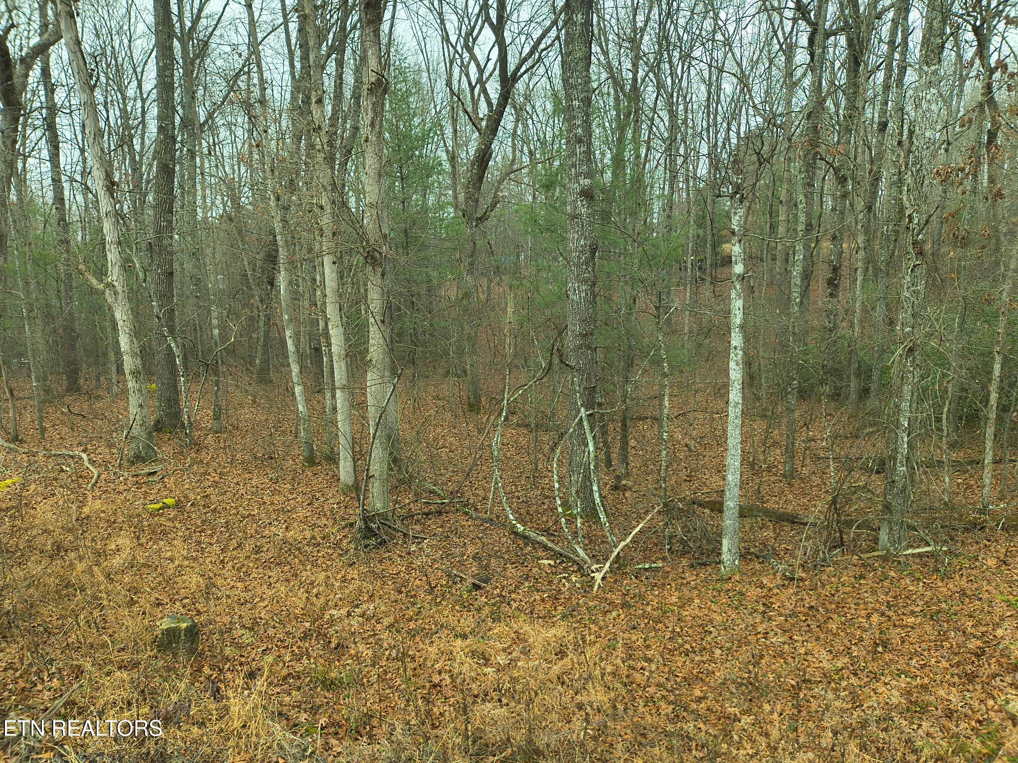 526 & 528 Tsala Drive Crossville TN 38572