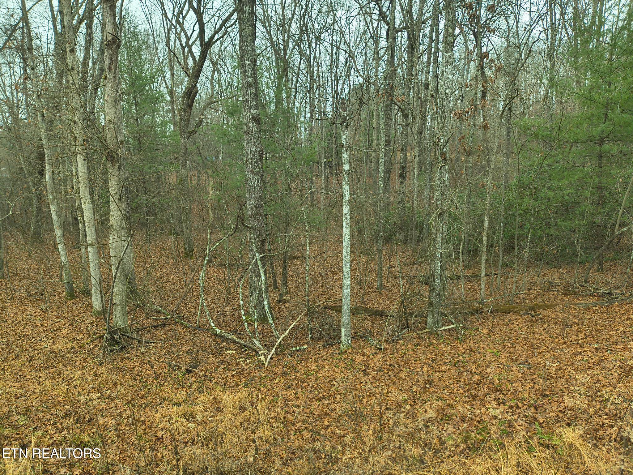 526 & 528 Tsala Drive Crossville TN 38572