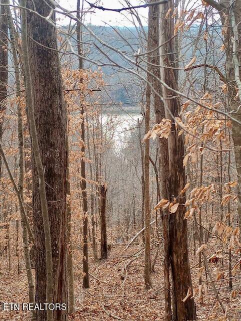 Whistle Valley Road New Tazewell TN 37825