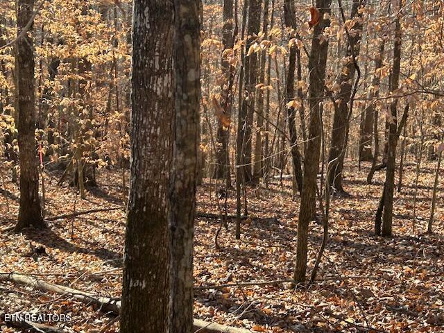 Whistle Valley Road New Tazewell TN 37825