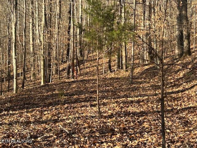 Whistle Valley Road New Tazewell TN 37825