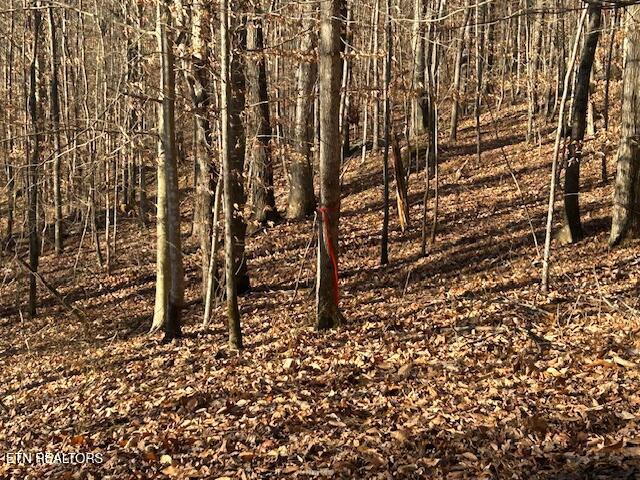 Whistle Valley Road New Tazewell TN 37825