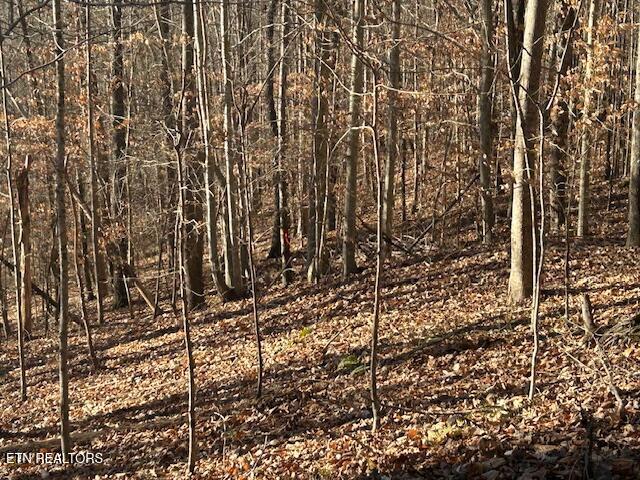 Whistle Valley Road New Tazewell TN 37825