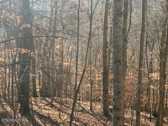 Whistle Valley Road New Tazewell TN 37825