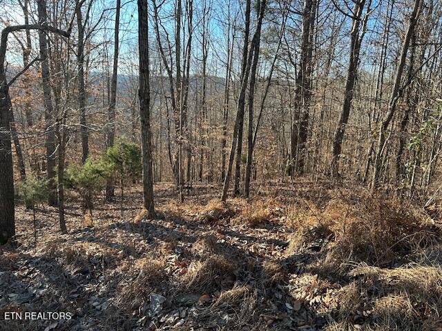 Whistle Valley Road New Tazewell TN 37825