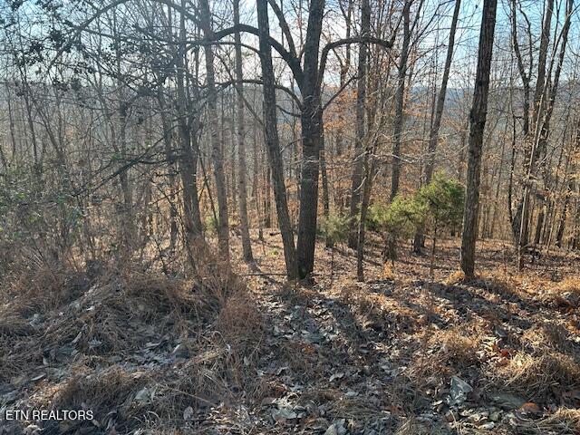 Whistle Valley Road New Tazewell TN 37825