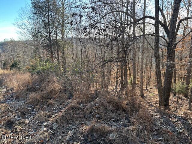 Whistle Valley Road New Tazewell TN 37825