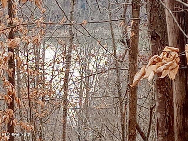 Whistle Valley Road New Tazewell TN 37825