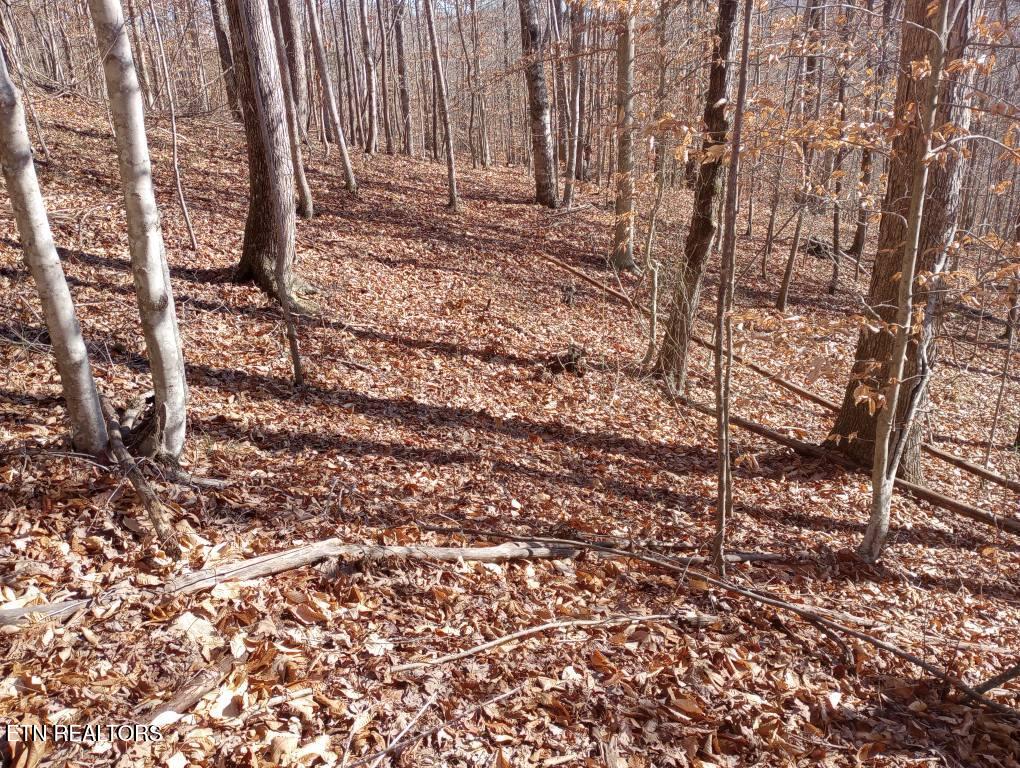 Whistle Valley Road New Tazewell TN 37825