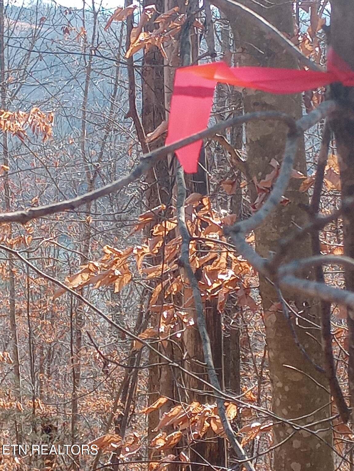 Whistle Valley Road New Tazewell TN 37825