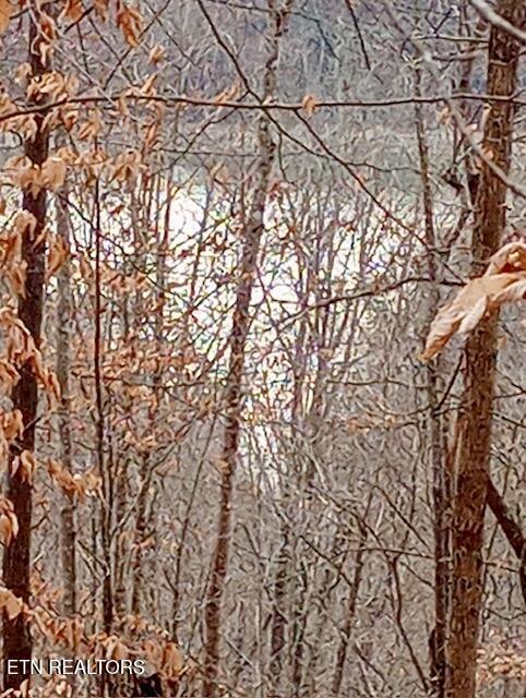 Whistle Valley Road New Tazewell TN 37825