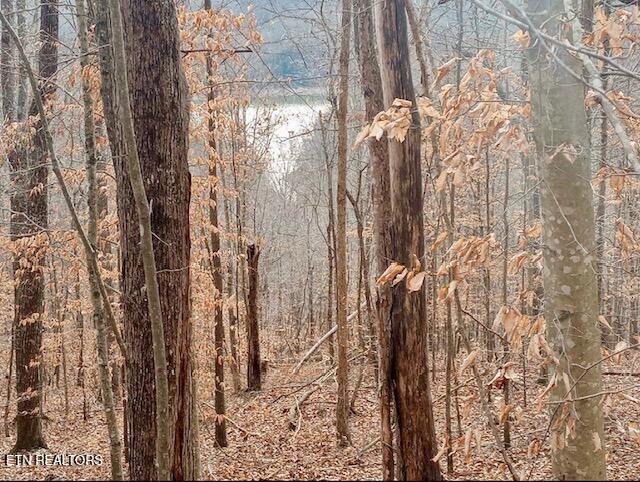 Whistle Valley Road New Tazewell TN 37825