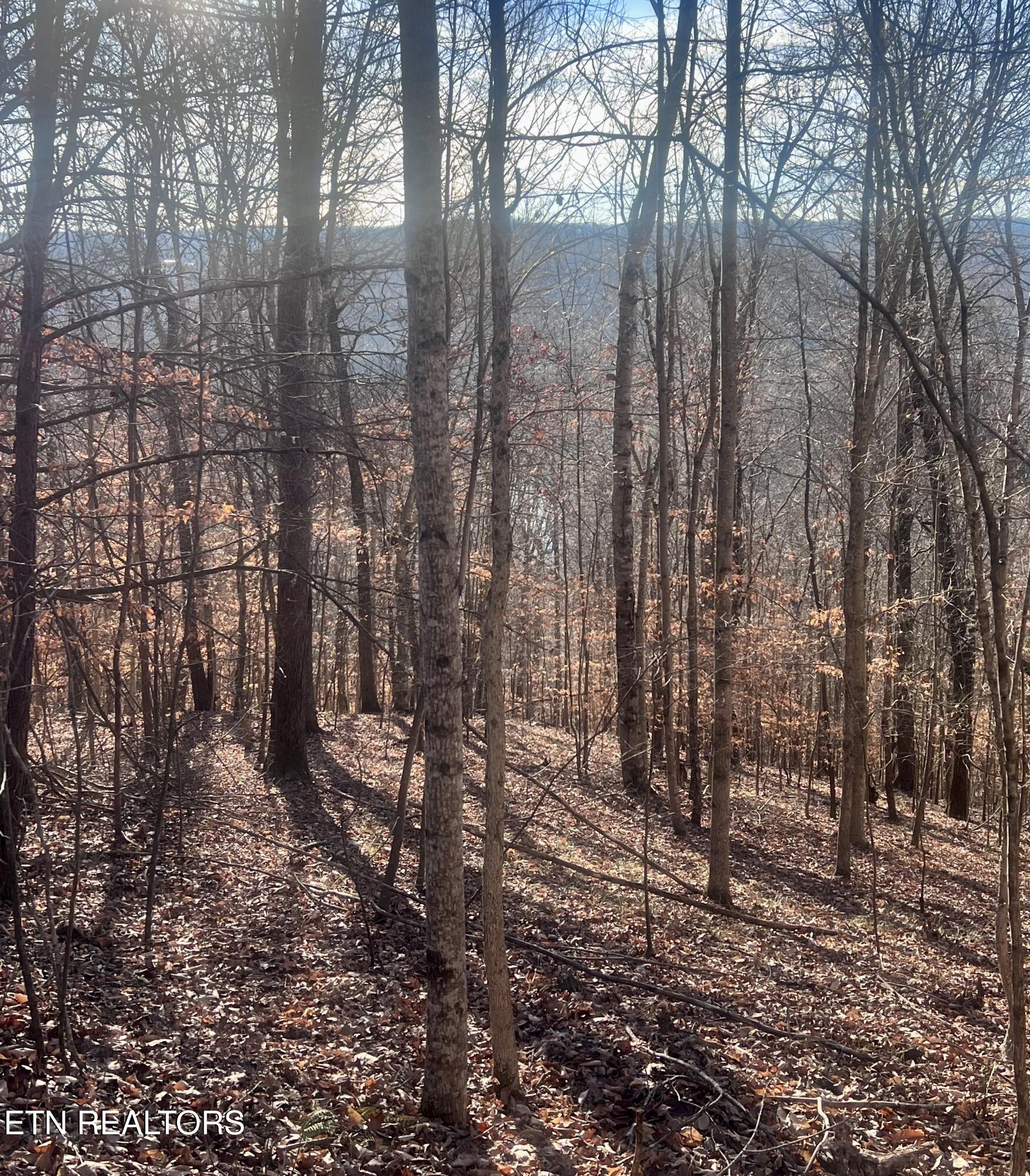 Whistle Valley Road New Tazewell TN 37825