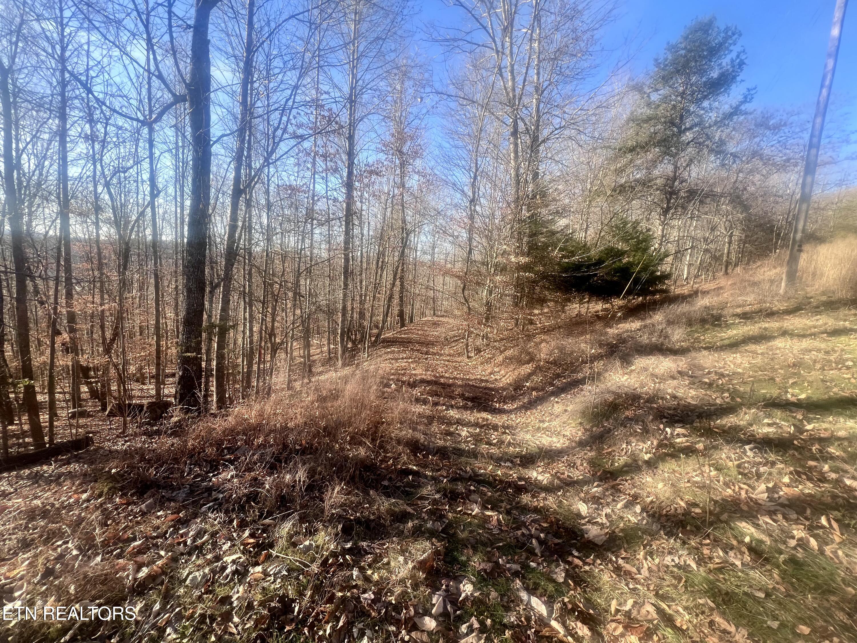 Whistle Valley Road New Tazewell TN 37825