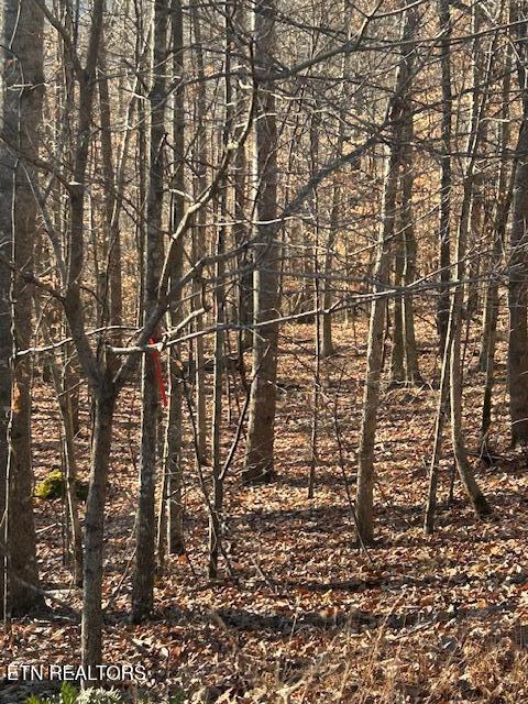 Whistle Valley Road New Tazewell TN 37825