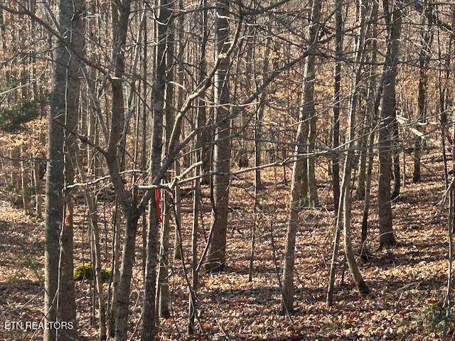 Whistle Valley Road New Tazewell TN 37825