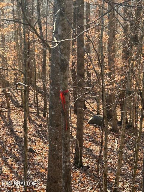 Whistle Valley Road New Tazewell TN 37825