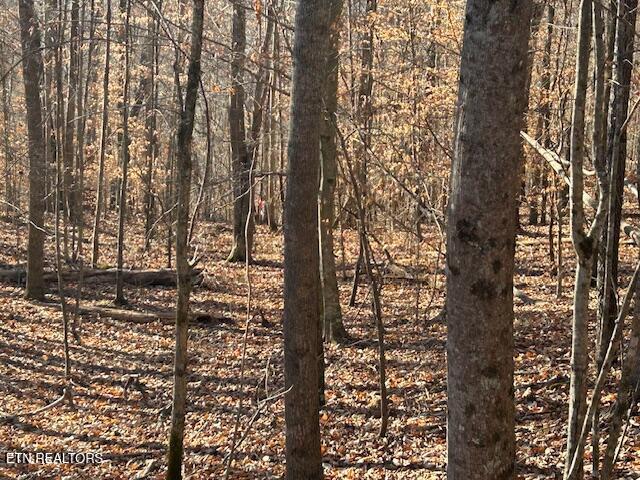 Whistle Valley Road New Tazewell TN 37825