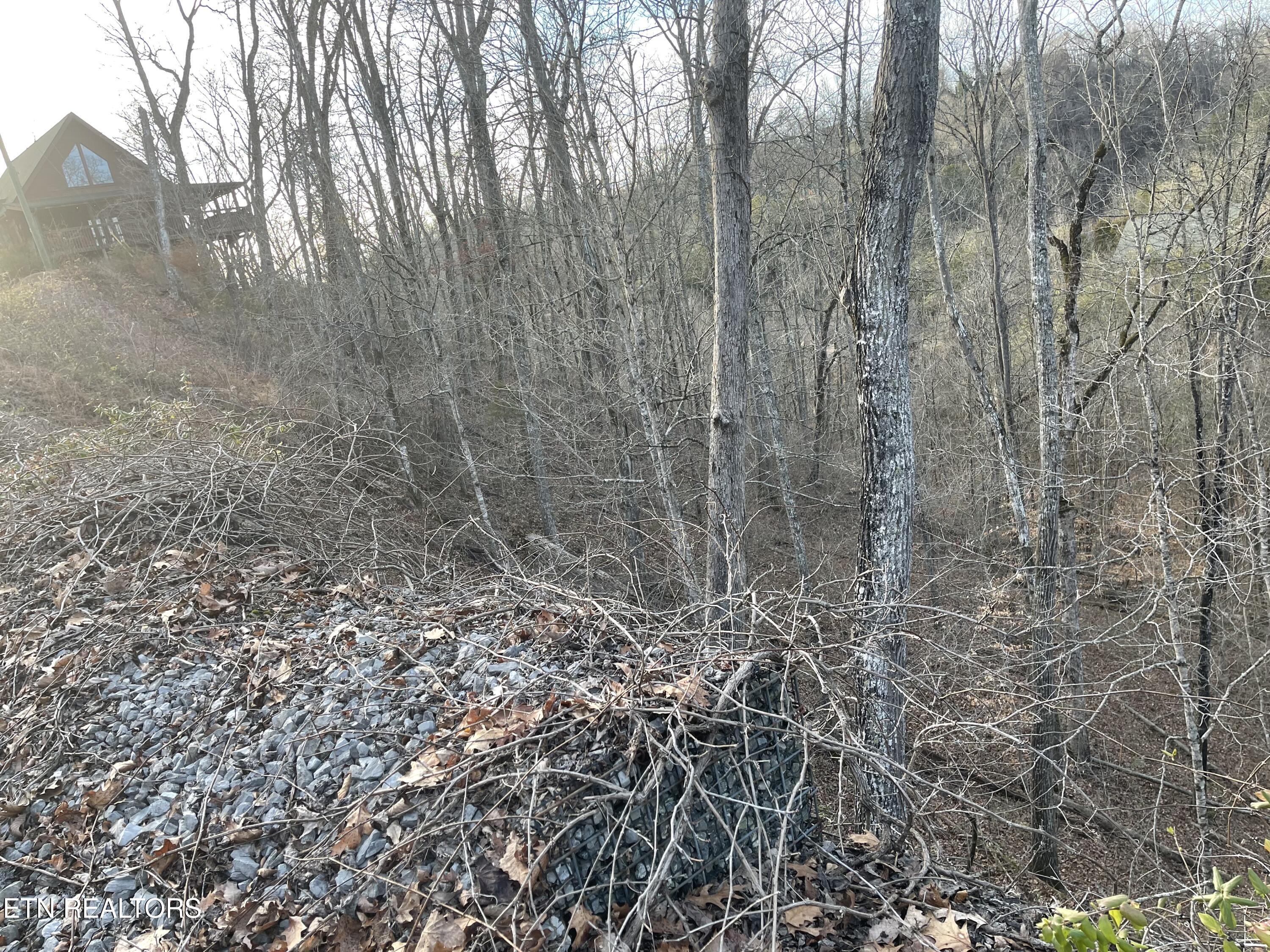 Lot 67 Wingspan Drive Sevierville TN 37862