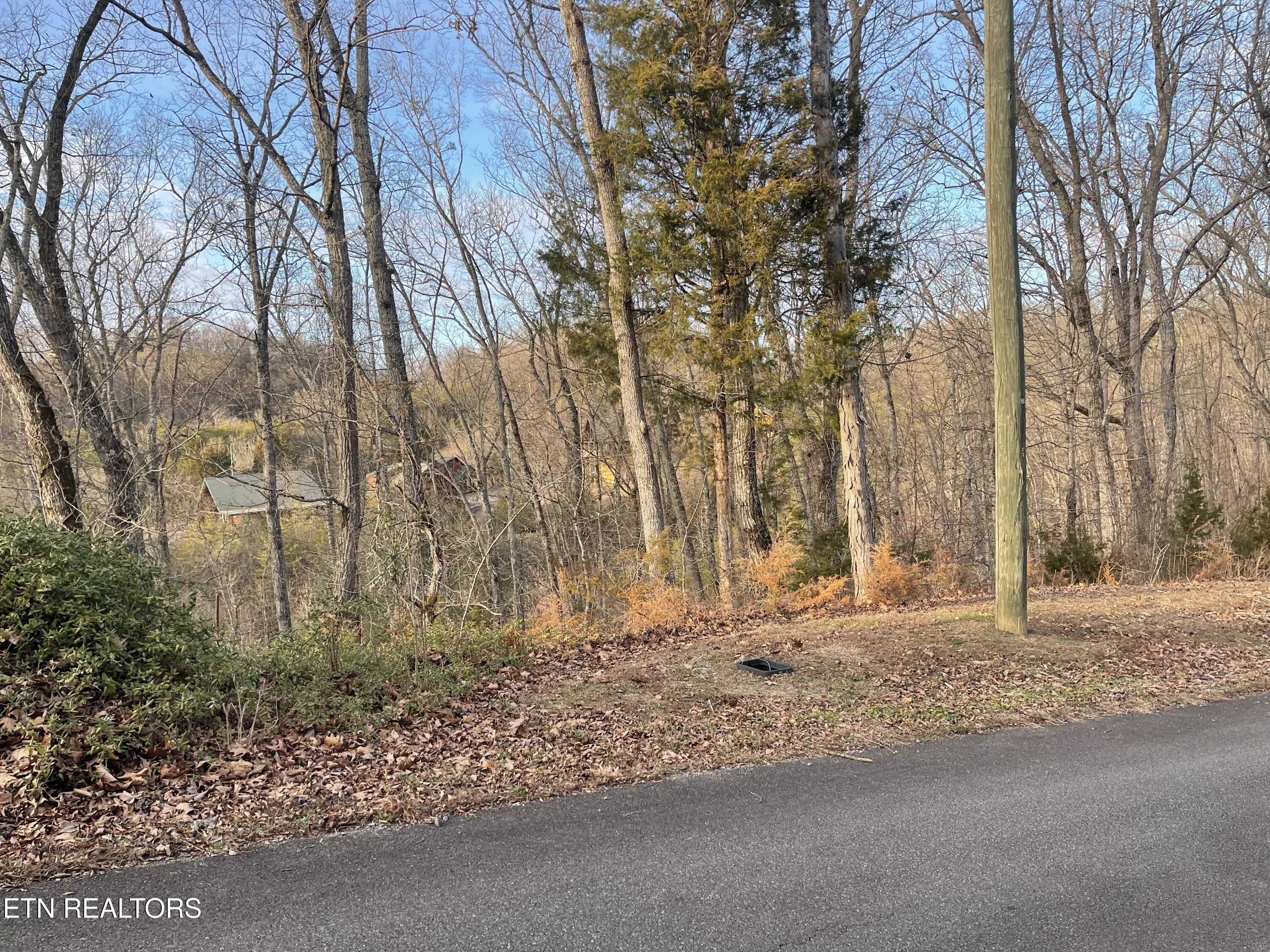 Lot 67 Wingspan Drive Sevierville TN 37862