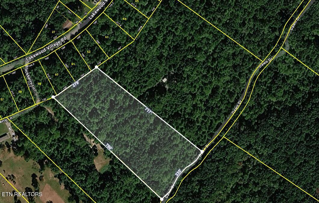 665 Lakewood Village Road Spring City TN 37381