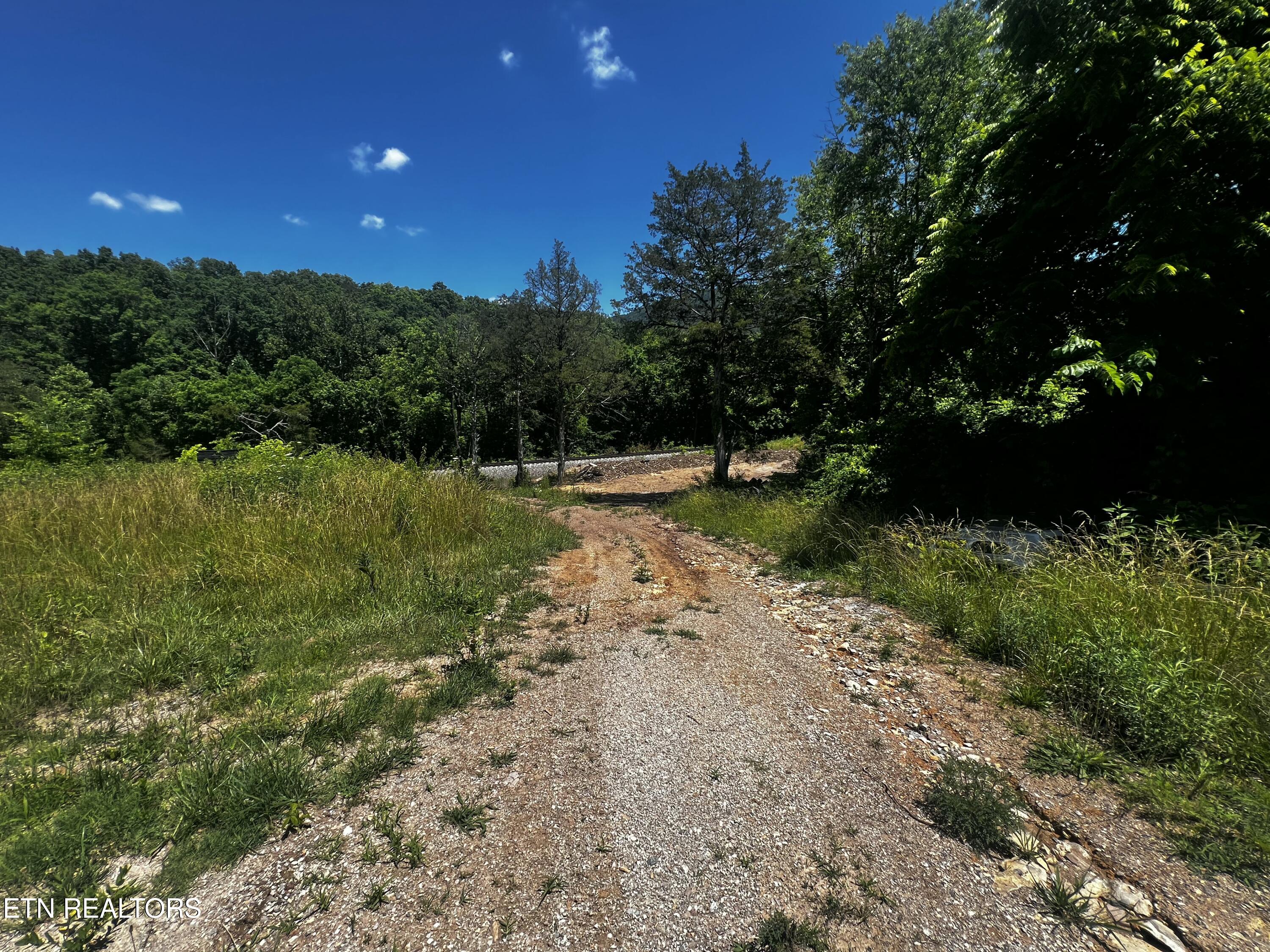 219 Cedar Avenue Luttrell TN 37779