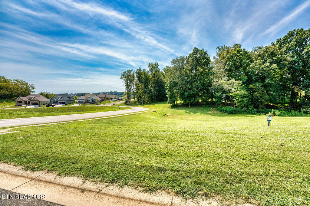 4394 Persimmon Ridge Loudon TN 37774