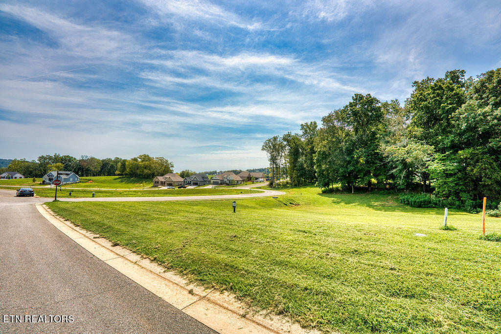 4394 Persimmon Ridge Loudon TN 37774