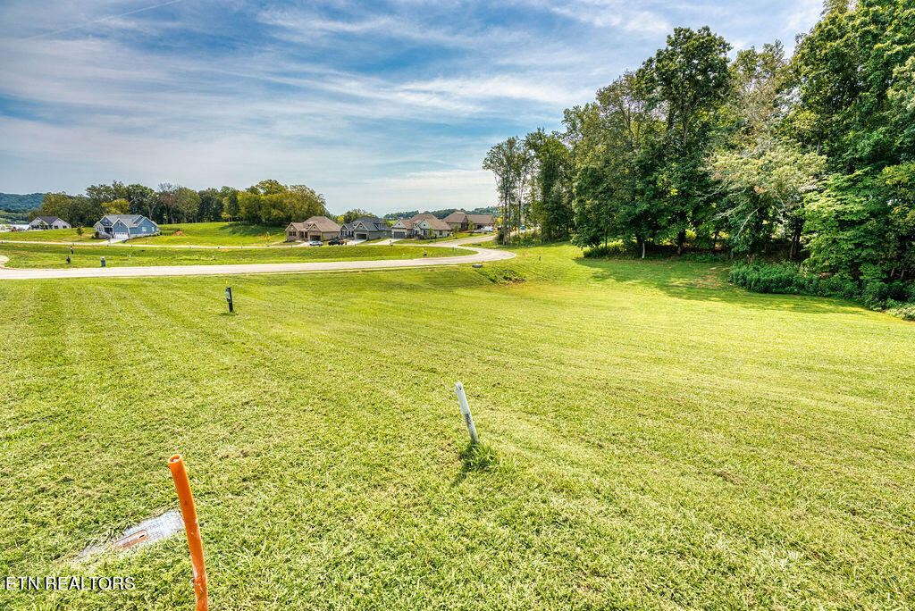 4394 Persimmon Ridge Loudon TN 37774