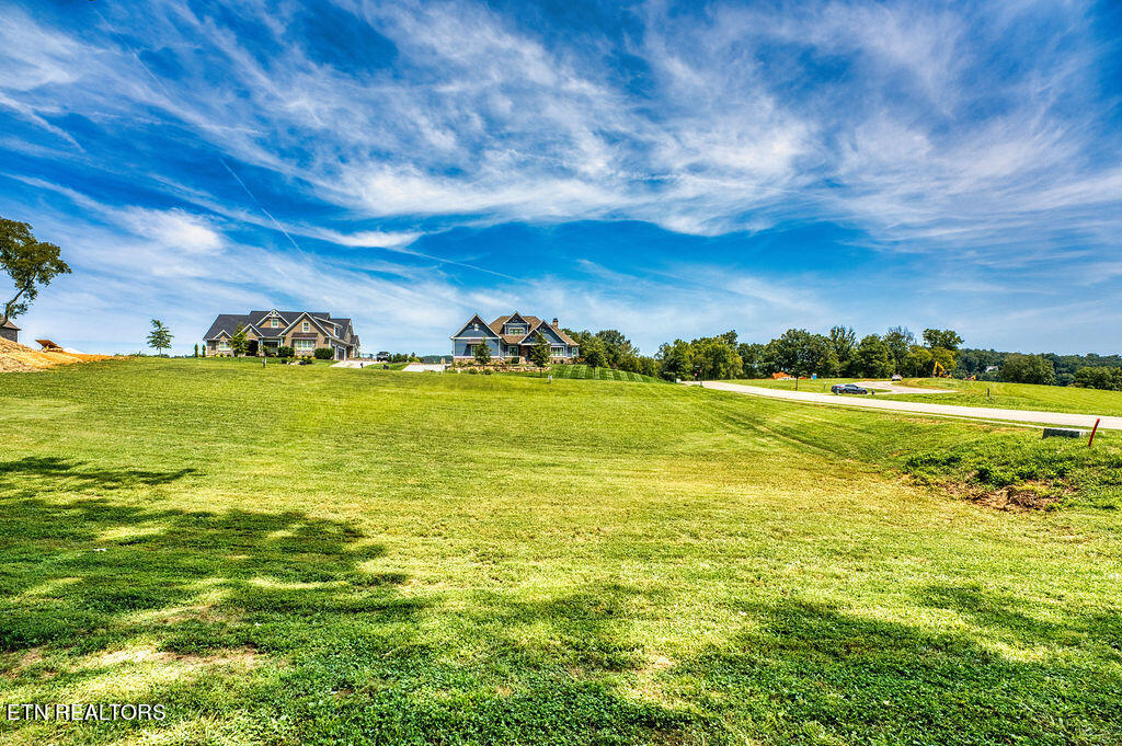 4394 Persimmon Ridge Loudon TN 37774