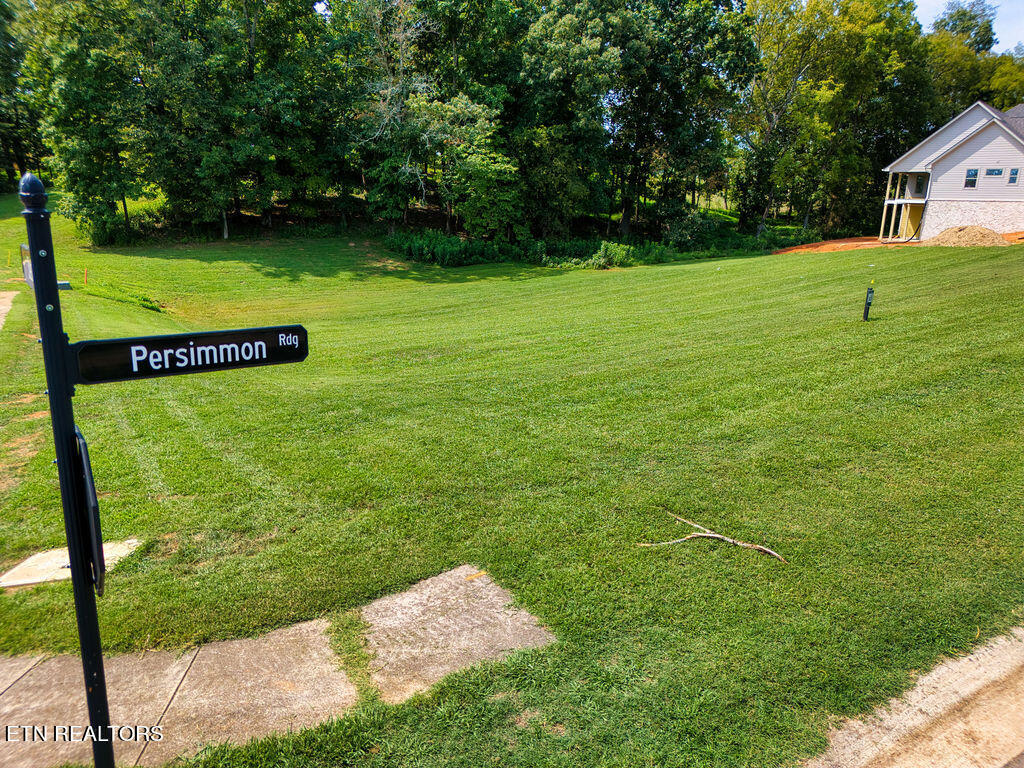 4394 Persimmon Ridge Loudon TN 37774