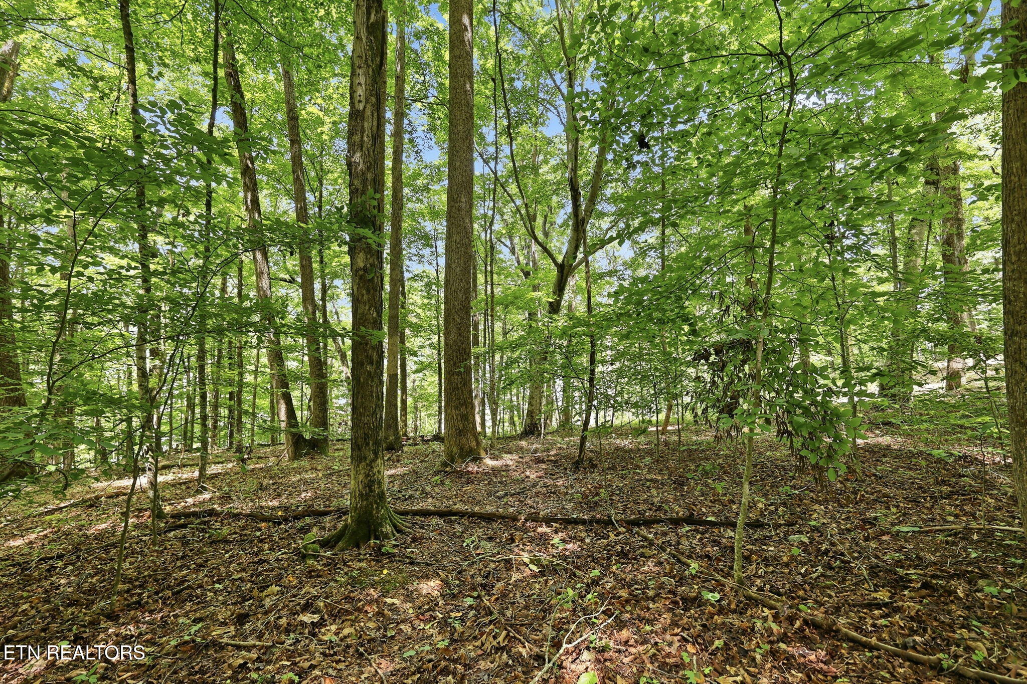 Lot 17 Tumbling Run Estates Maynardville TN 37807